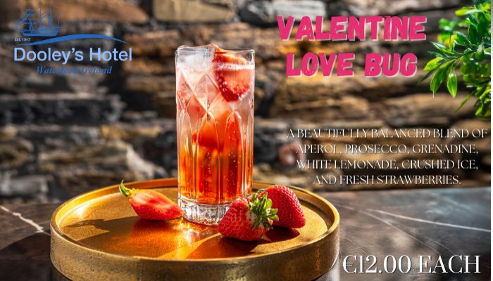 Copy of valentine love bug Dooleys Hotel